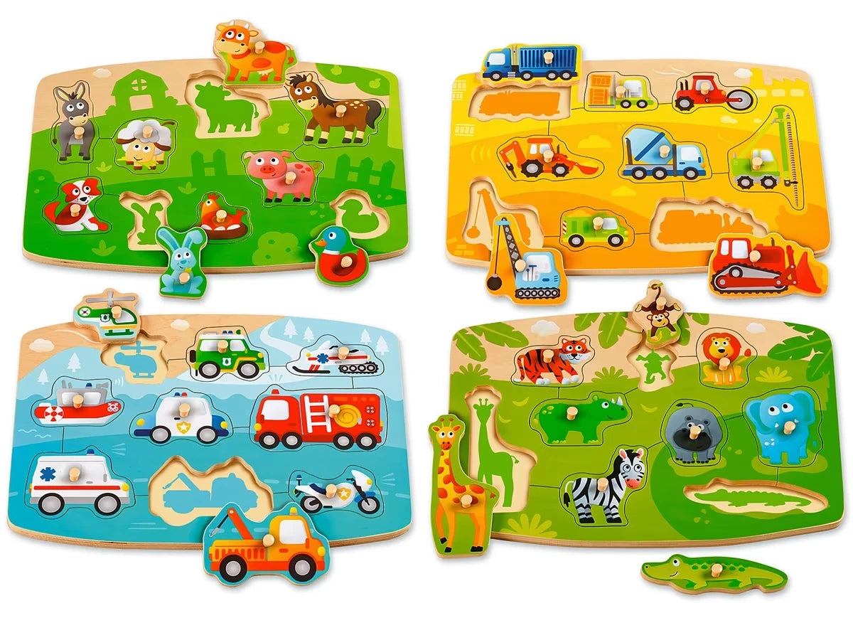 Beginner’s Peg Puzzle Set - US 3910