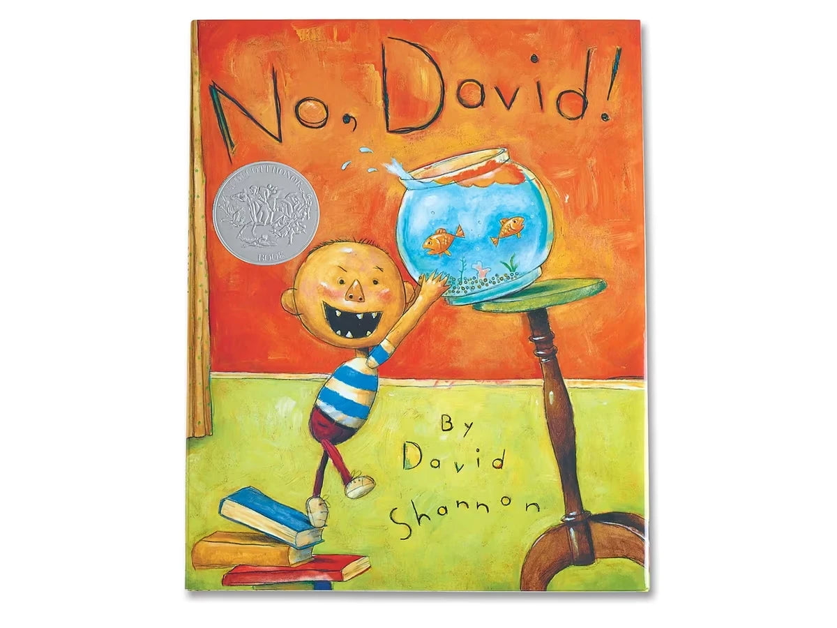 No, David! Hardcover Book - US 5799