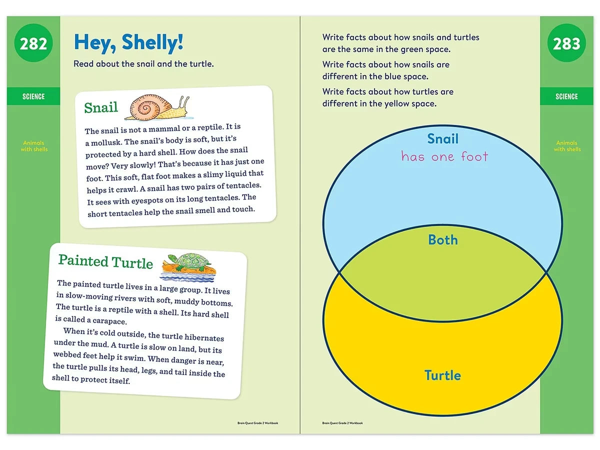 Brain Quest Workbook - Gr. 2 - US 9437