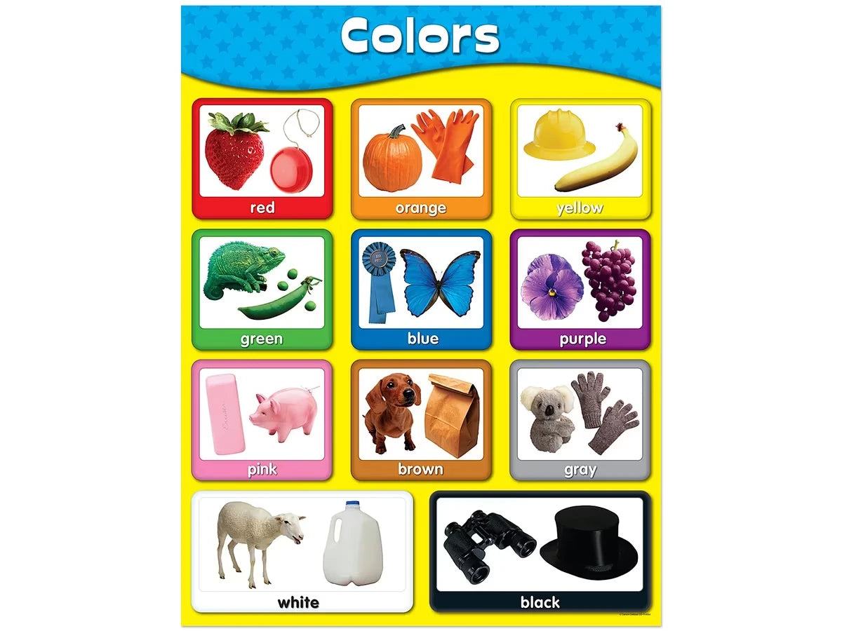Exploring Colors Poster - US 6872