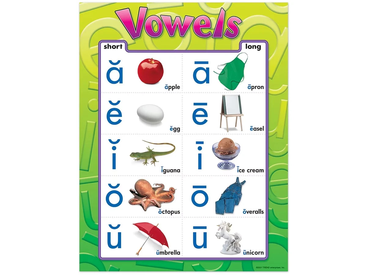 Vowels Photo Poster - US 9055
