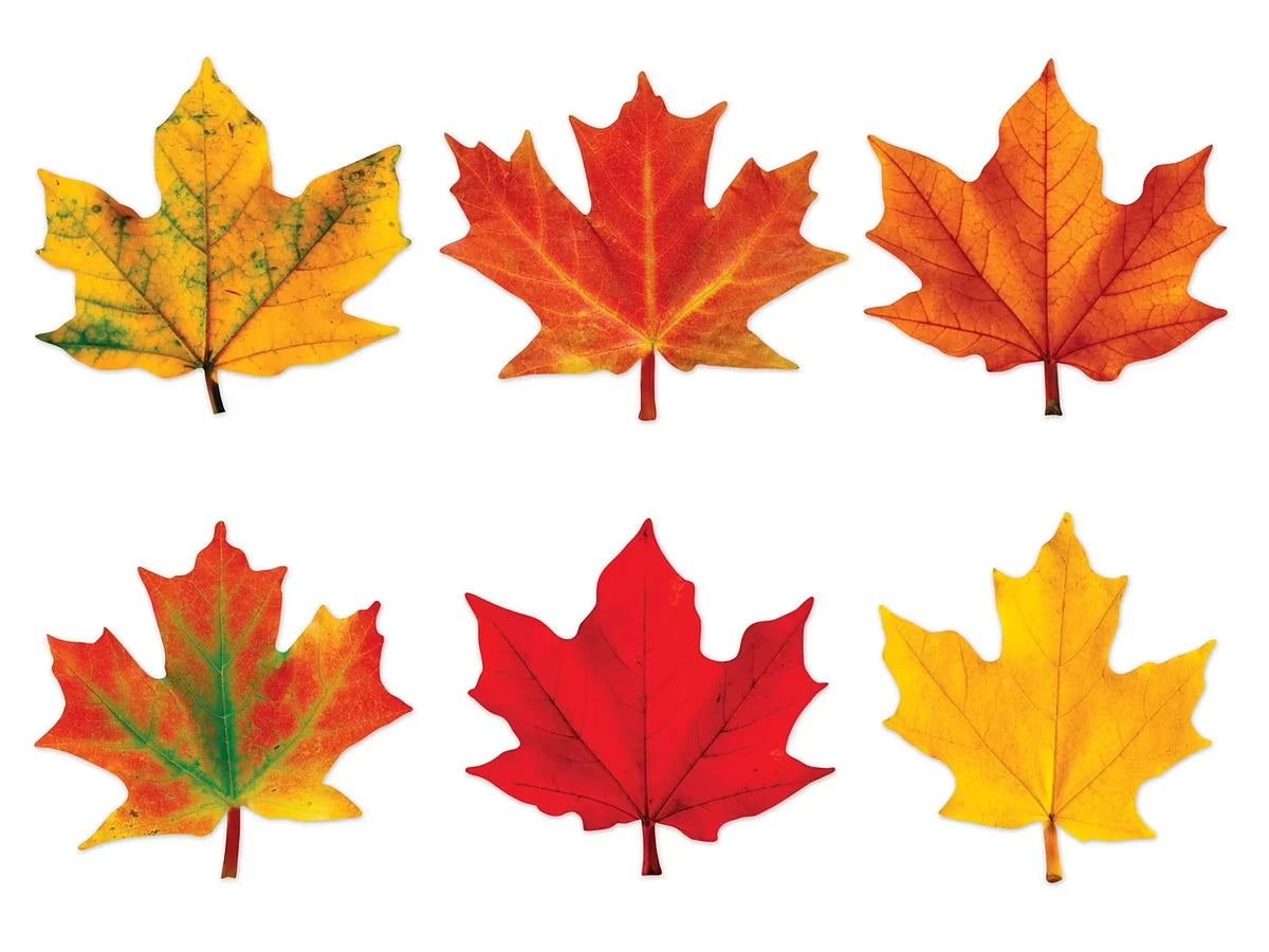 Maple Leaf Mini Accents - US 8485