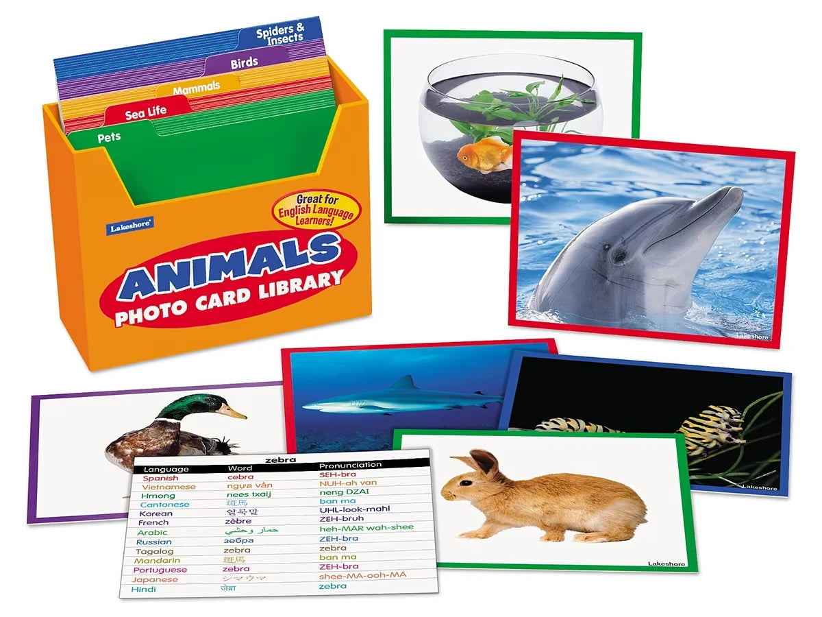 Animals Vocabulary Development Photo Card Library - US 6922
