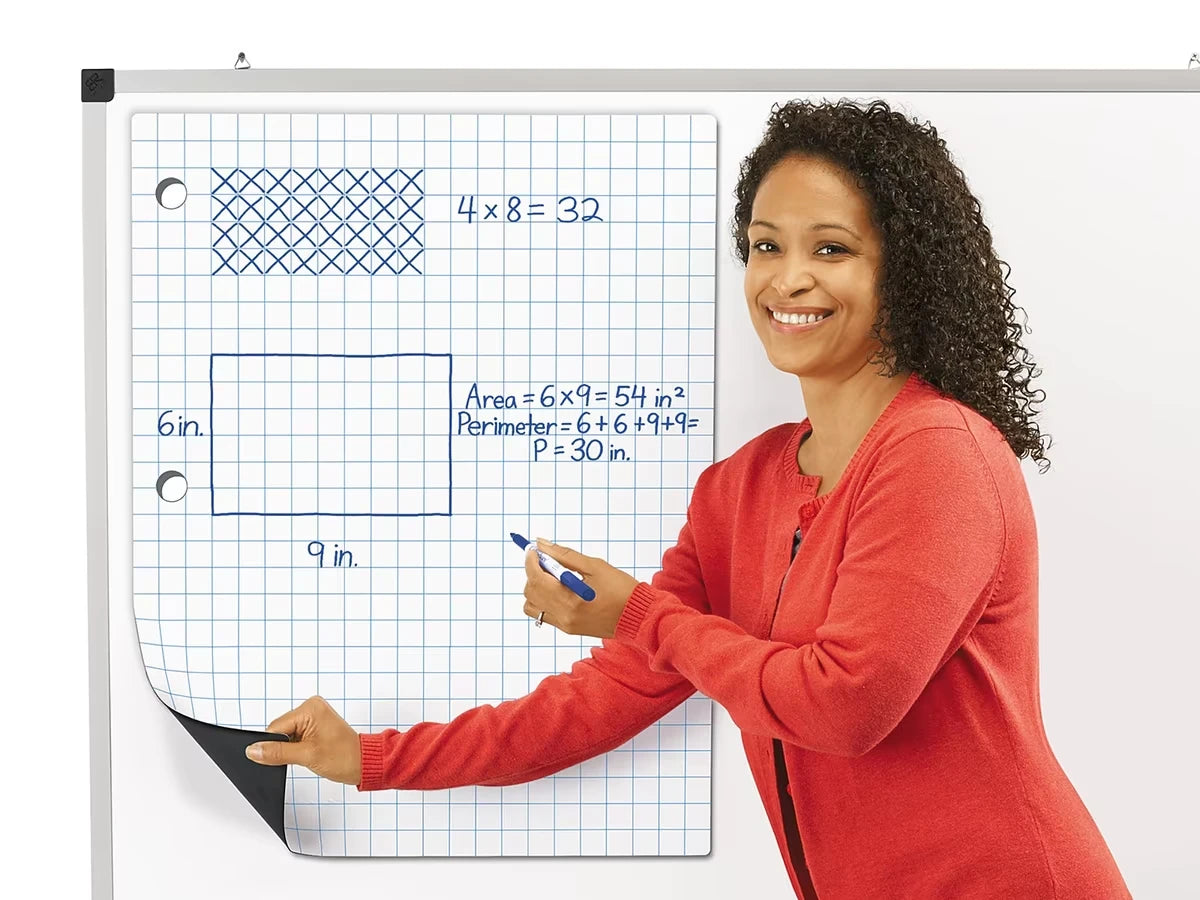 Giant Magnetic Graph & Array Chart - US 8001