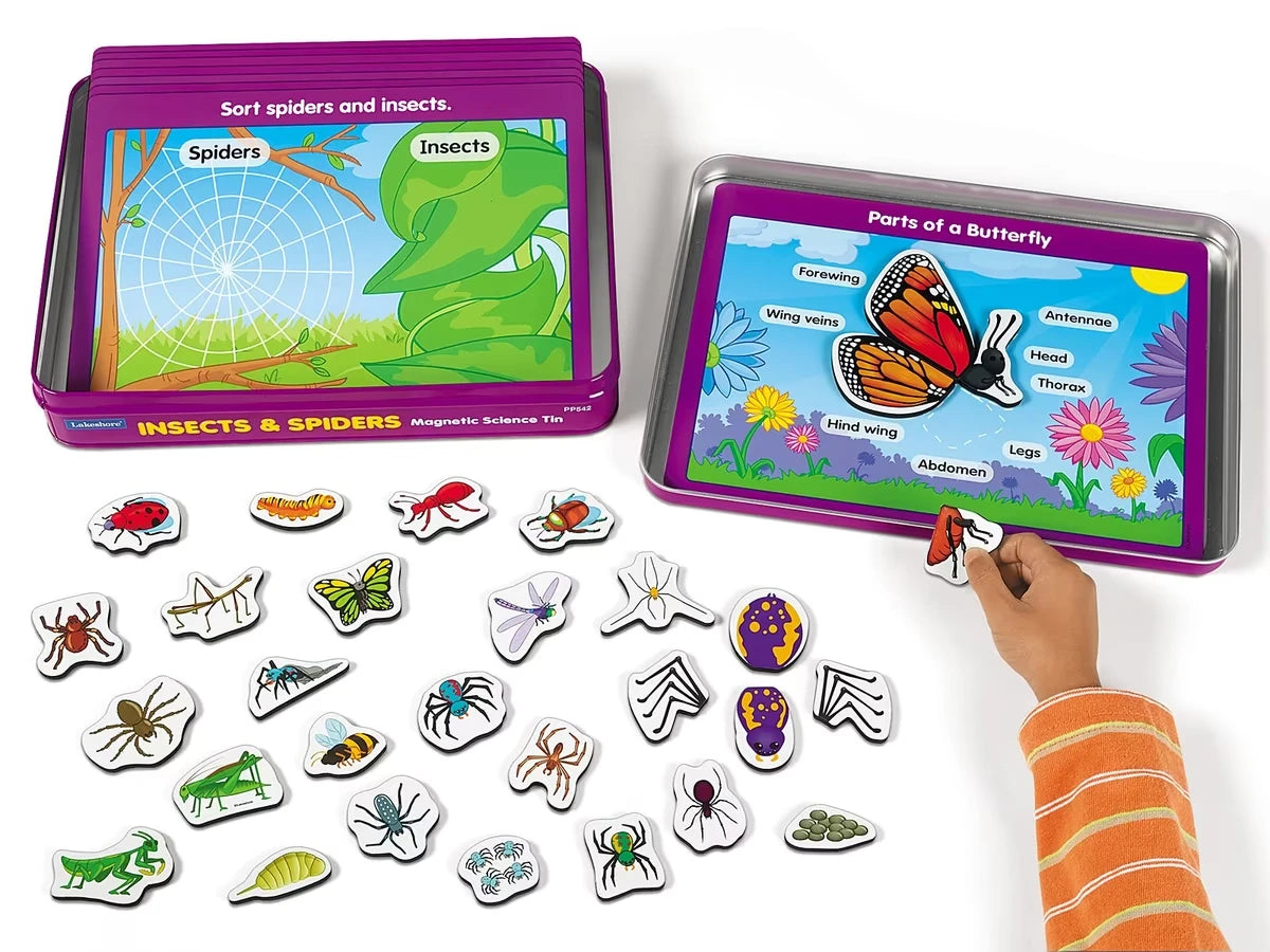 Insects & Spiders Magnetic Activity Tin - US 4128