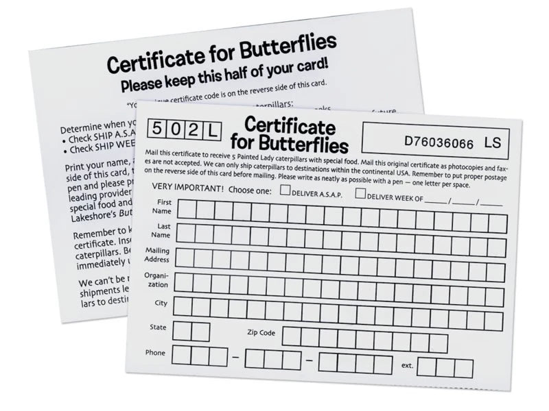 The Butterfly Nursery - US 9370