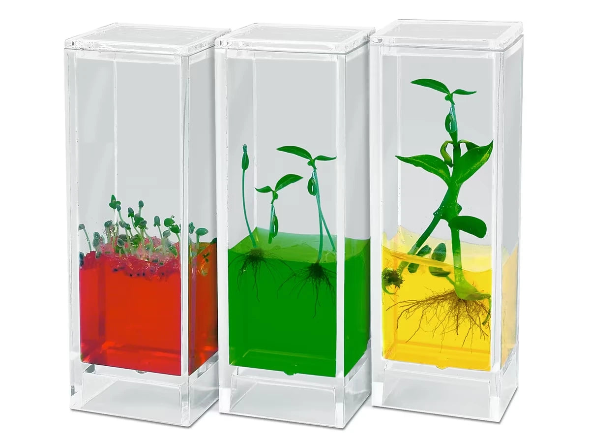 See It Grow Plant Lab - US 3429