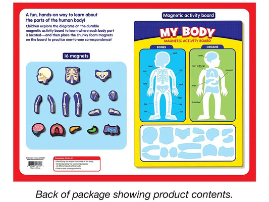 My Body Magnetic Activity Board - US 5516