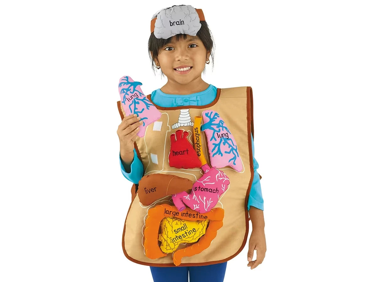 What’s Inside Me? Apron - US 2996