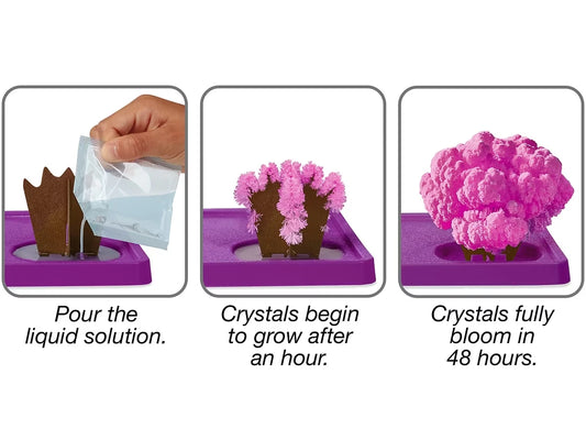 Dinosaurs Magic Crystal Growing Kit - US 3229