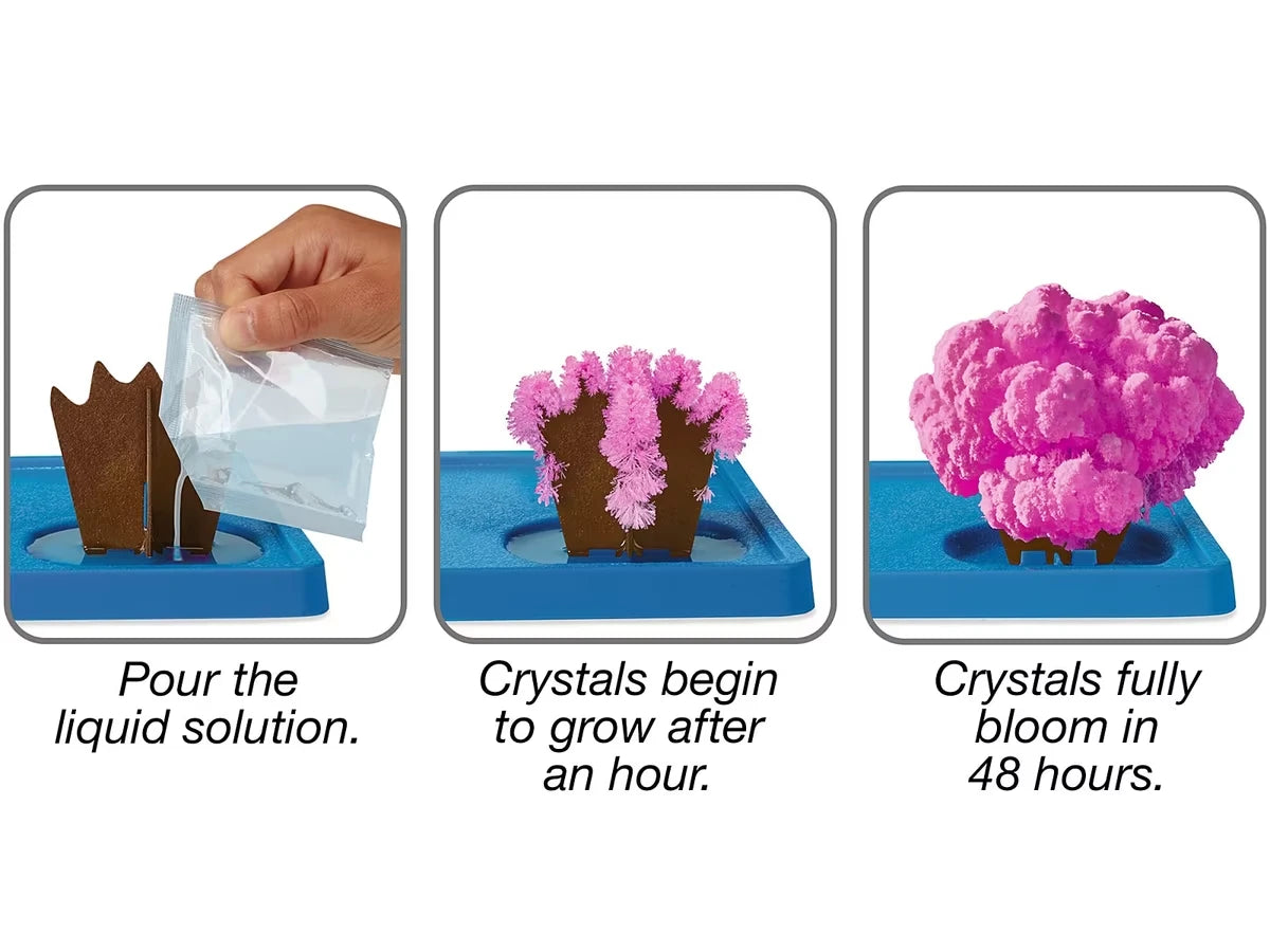 Sea Life Magic Crystal Growing Kit - US 7145