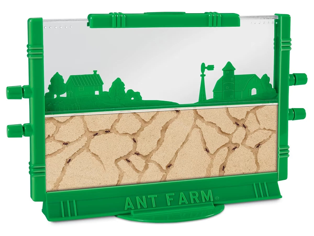 Ant Farm - US 3290
