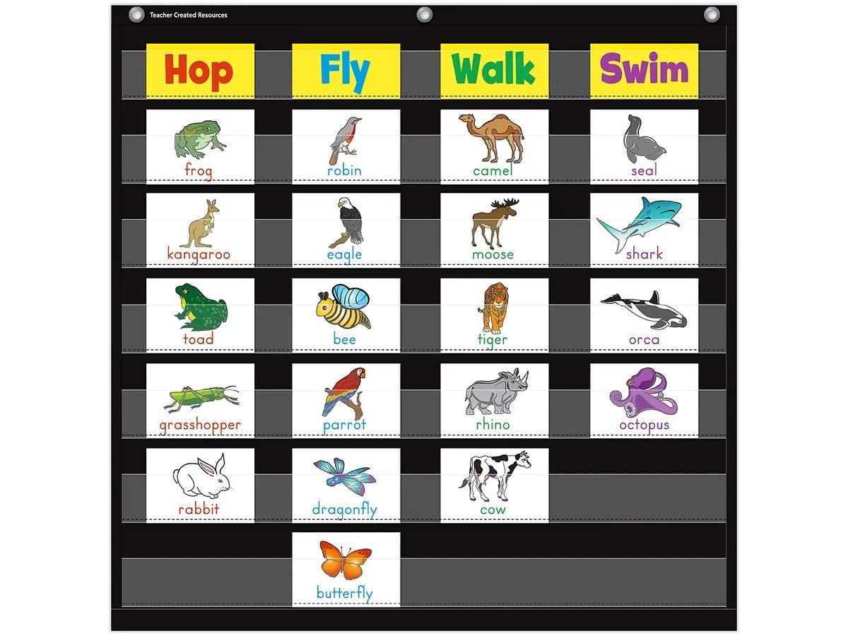 Black Pocket Chart - US 6834