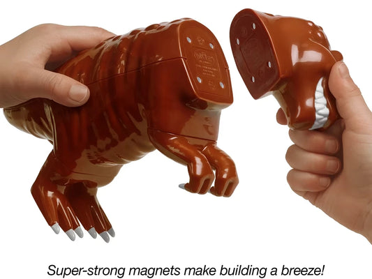 Mix & Match Magnetic Dinosaurs - US 6663