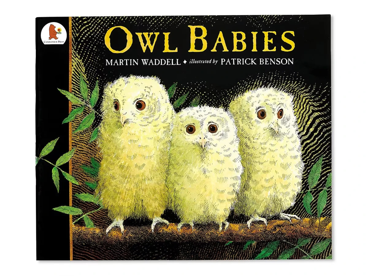 Owl Babies Big Book - US 3725