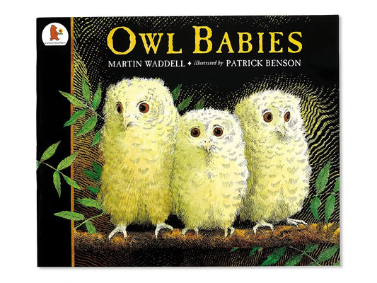 Owl Babies Big Book - US 3725