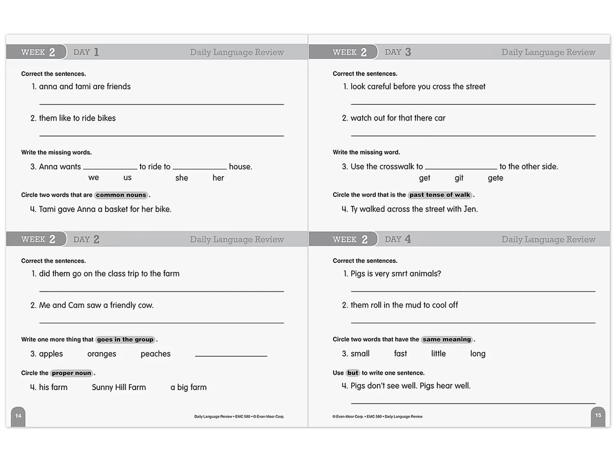 Daily Language Review Workbook - Gr. 2 - US 3002