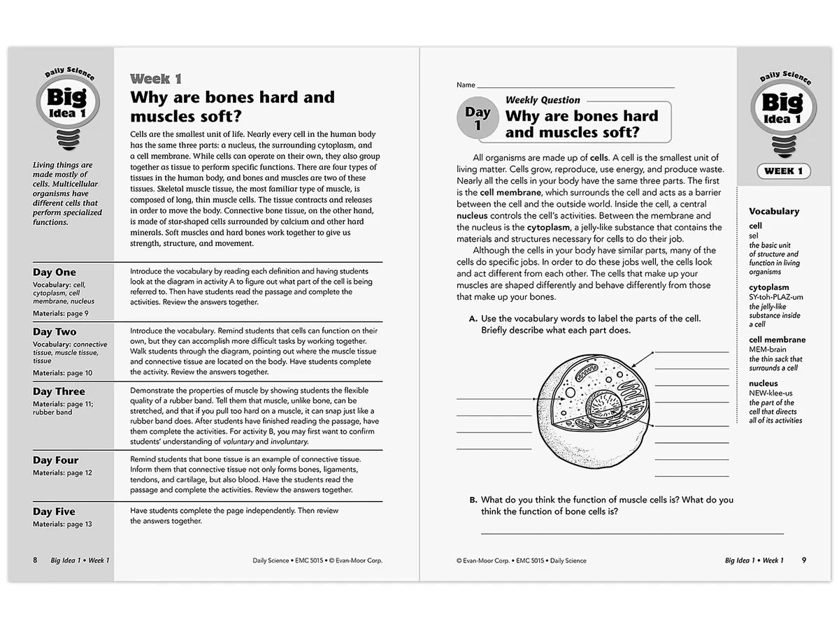 Daily Science Reproducible Activities Workbook - Gr. 5 - US 4163