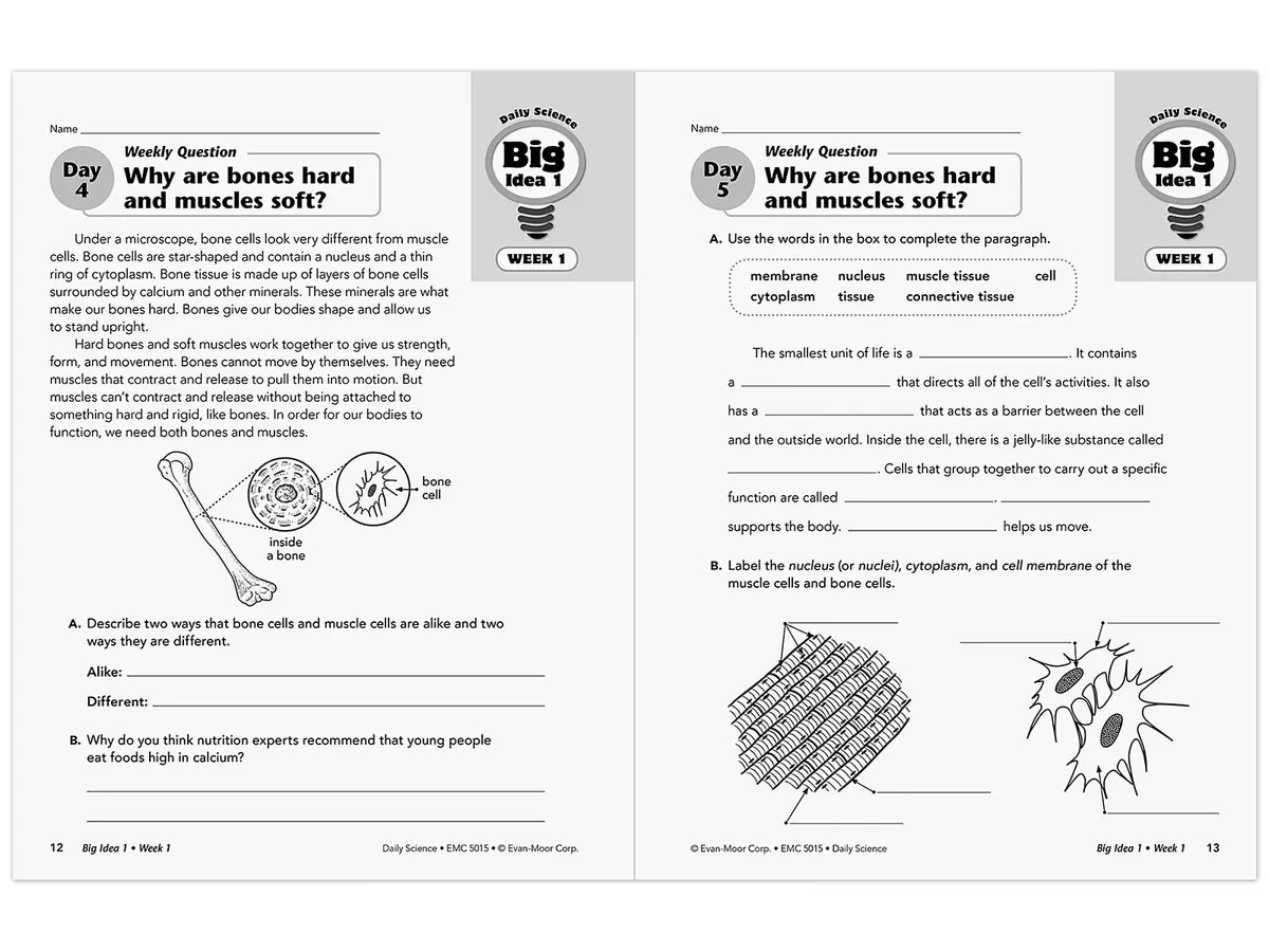 Daily Science Reproducible Activities Workbook - Gr. 5 - US 4163