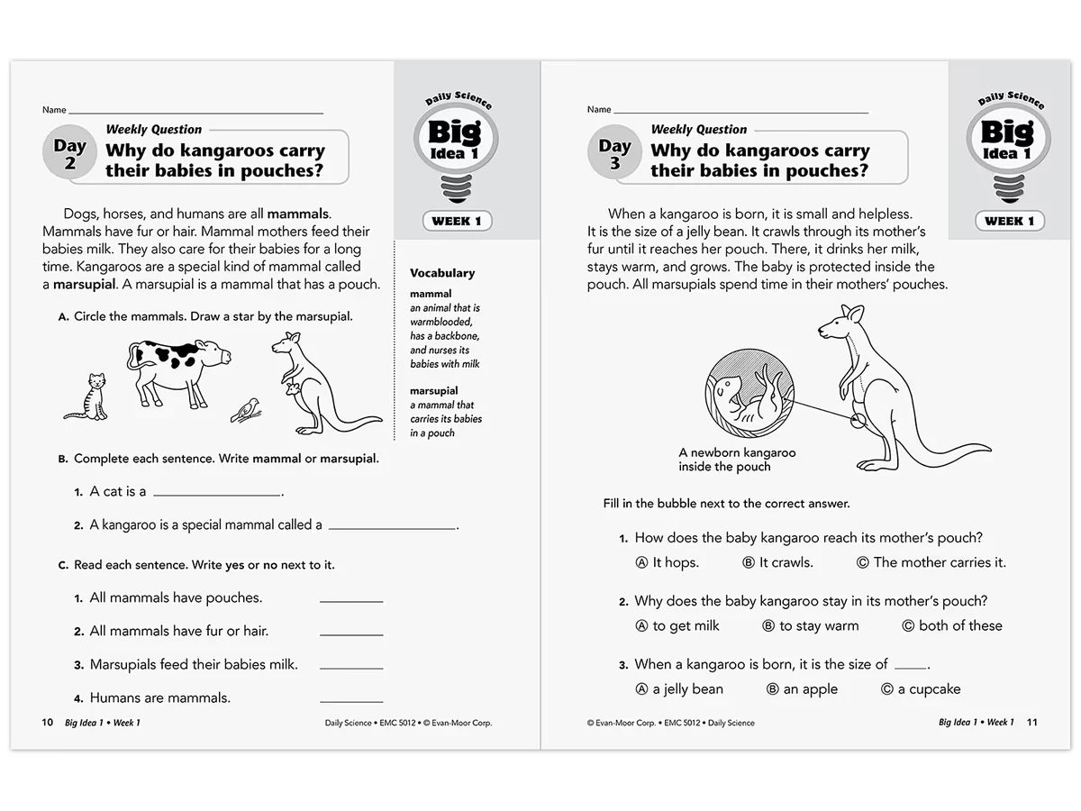 Daily Science Reproducible Activities Workbook - Gr. 2 - US 1405