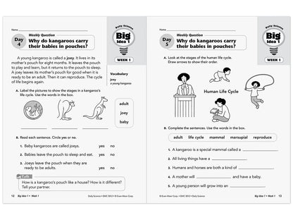 Daily Science Reproducible Activities Workbook - Gr. 2 - US 1405