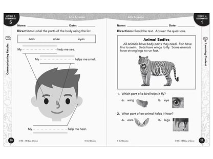180 Days of Science Workbook - Kindergarten - US 4686