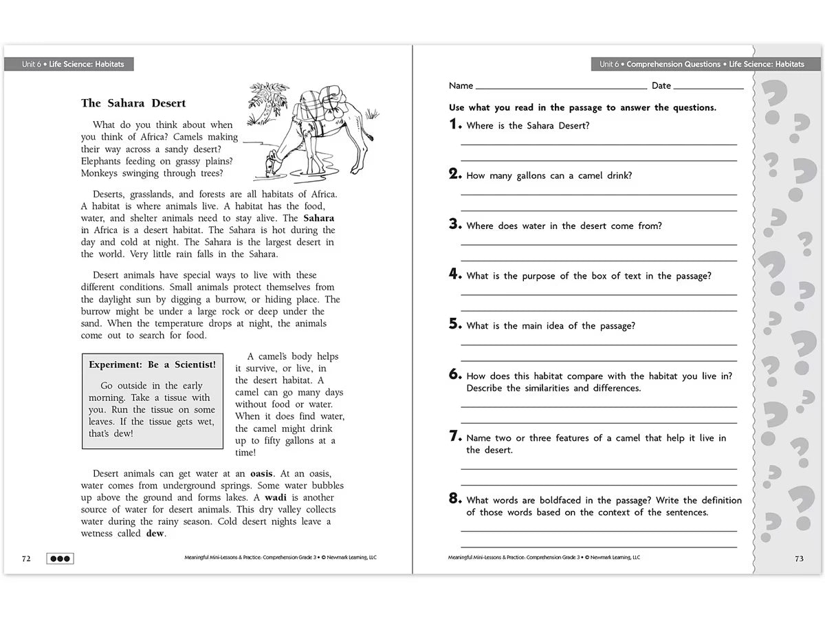 Comprehension Workbook - Gr. 3 - US 3468