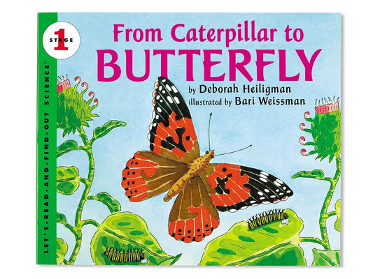 From Caterpillar to Butterfly Big Book - US 3311