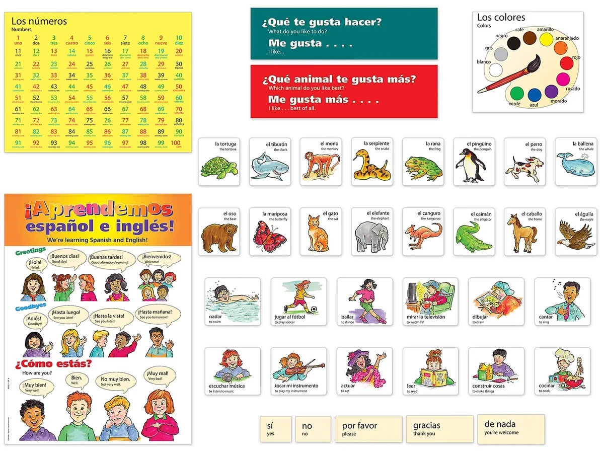 Spanish Phrases Bulletin Board Set - US 1770
