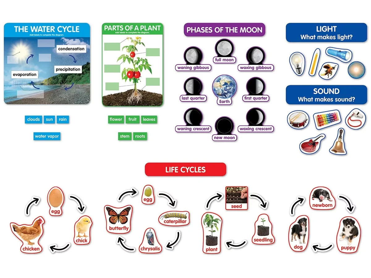 Early Science Concepts Bulletin Board Set - US 3793