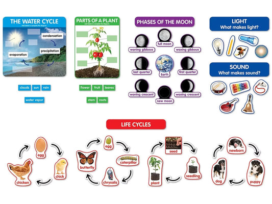 Early Science Concepts Bulletin Board Set - US 3793