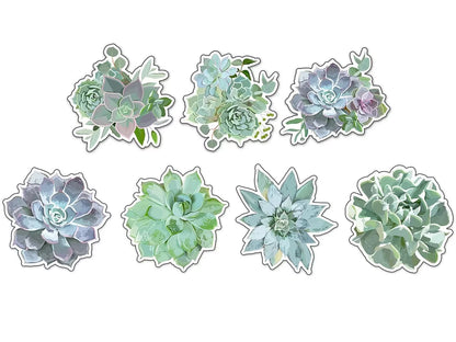 Simply Stylish Succulent Accents - US 8820