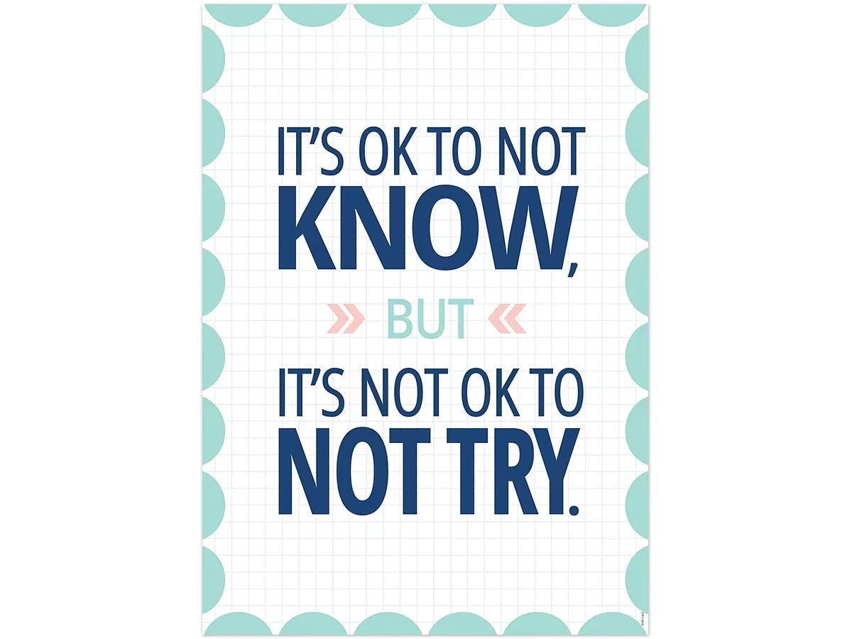 Calm & Cool It’s OK to Not Know Poster - US 1383
