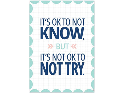 Calm & Cool It’s OK to Not Know Poster - US 1383