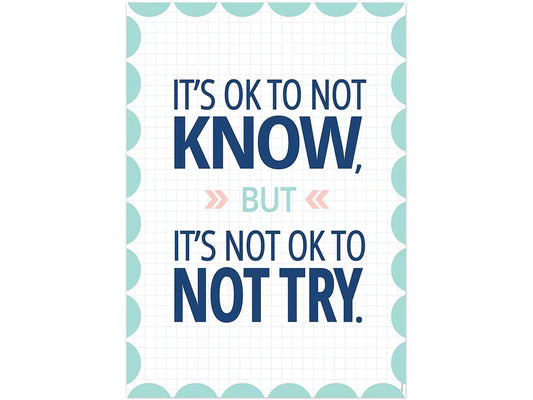 Calm & Cool It’s OK to Not Know Poster - US 1383
