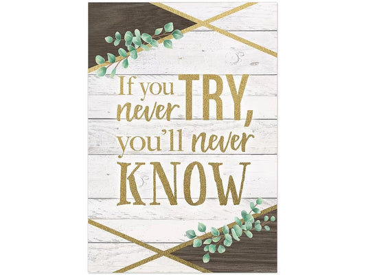 Eucalyptus If You Never Try Poster - US 1476