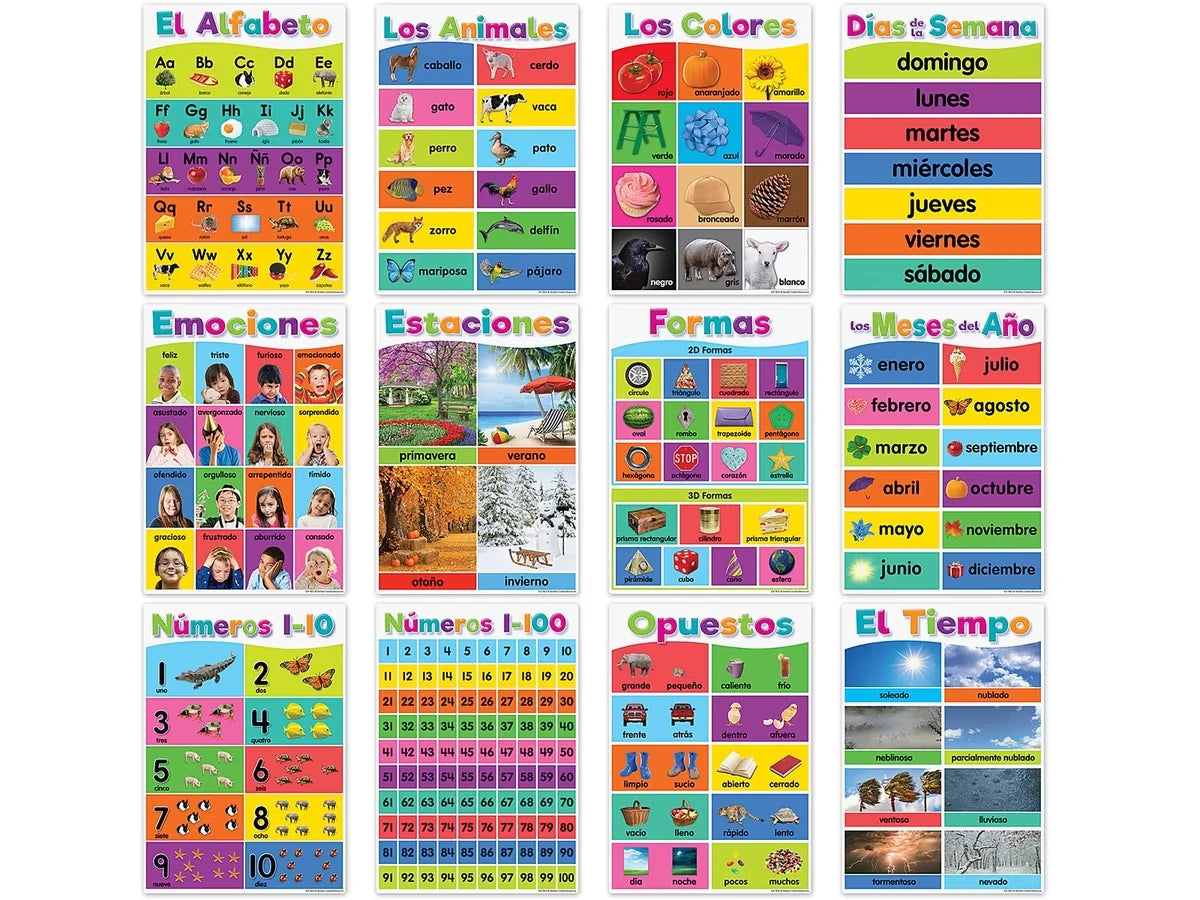 Colorful Spanish Basics Small Poster Pack - US 6853