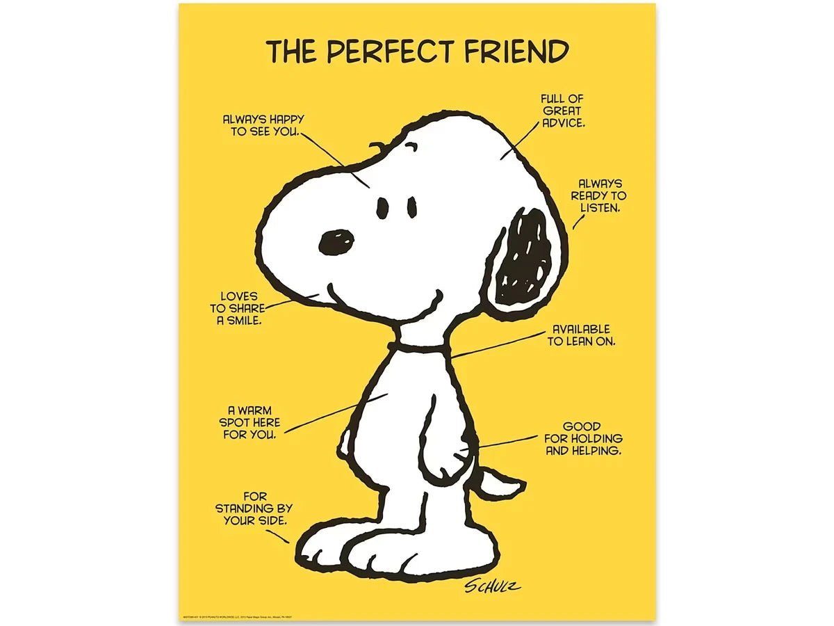 Peanuts® the Perfect Friend Poster - US 7847