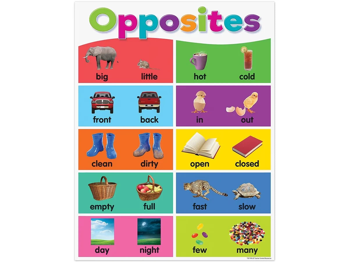 Colorful Opposites Poster - US 8327