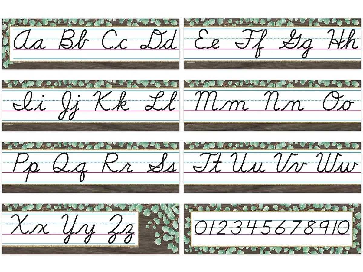 Eucalyptus Cursive Bulletin Board Set - US 6053
