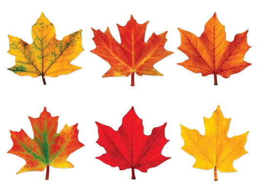 Maple Leaf Mini Accents - US 8485