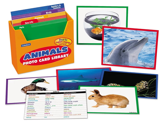 Animals Vocabulary Development Photo Card Library - US 6922