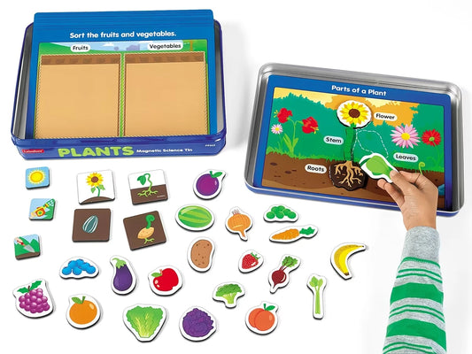 Plants Magnetic Activity Tin - US 3336
