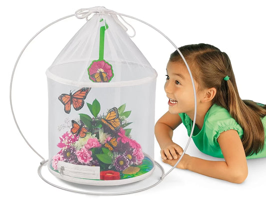 The Butterfly Nursery - US 9370