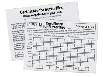The Butterfly Nursery - US 9370