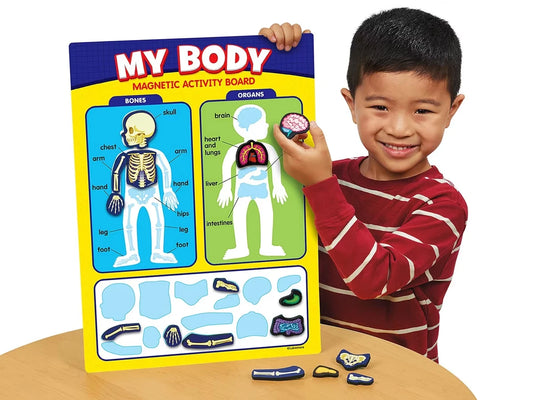 My Body Magnetic Activity Board - US 5516