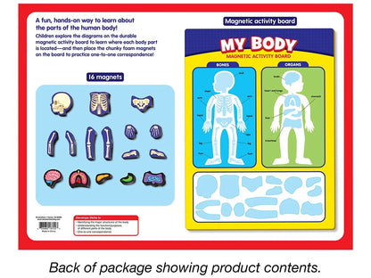 My Body Magnetic Activity Board - US 5516