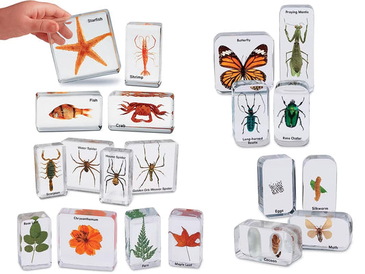 Easy-View Early Science Specimens - Complete Set - US 4209