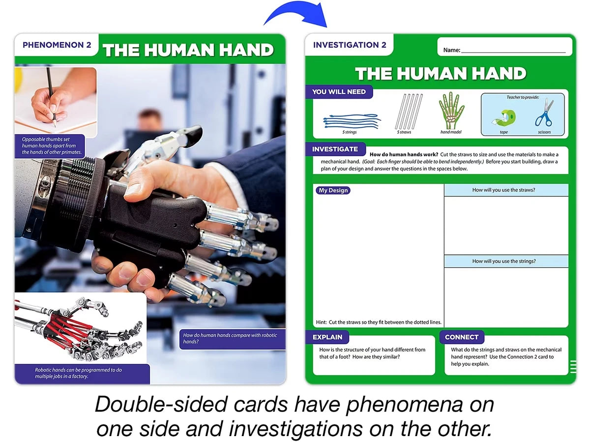 Meet the Standards Human Body Kit - Gr. 4 - US 1096