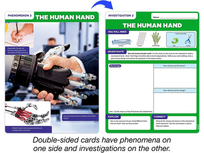 Meet the Standards Human Body Kit - Gr. 4 - US 1096